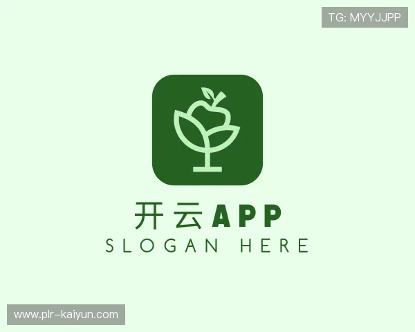 解读开云app